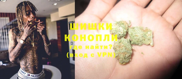 шишки Алзамай