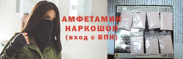шишки Алзамай