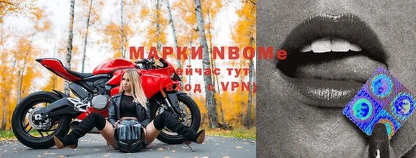 шишки Алзамай