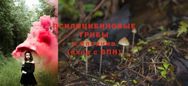 шишки Алзамай