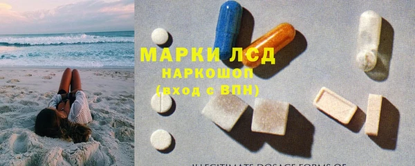 шишки Алзамай