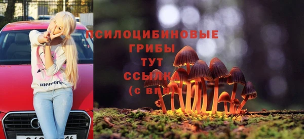 героин Алексин