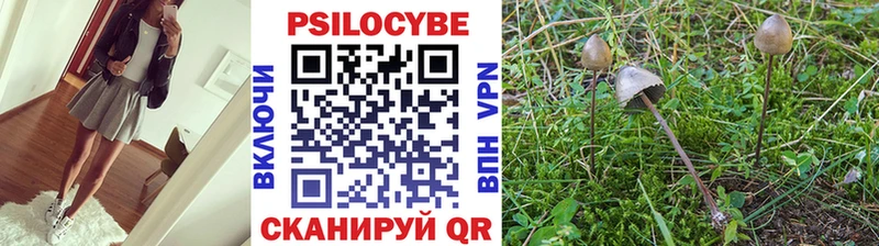 Псилоцибиновые грибы Cubensis  omg ссылки  Липки 